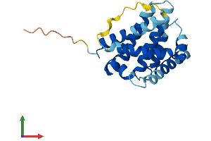 AlphaFold protein structure predicition of Mouse Recombinant Bax Protein, UniprotID Q07813