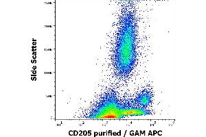Flow cytometry surface staining pattern of human peripheral whole blood stained using anti-human CD205 (HD30) purified antibody (concentration in sample 0,6 μg/mL, GAM APC). (LY75/DEC-205 anticorps)