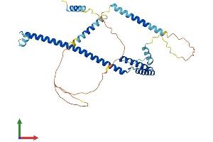 AlphaFold protein structure predicition of Mouse Recombinant Surf6 Protein, UniprotID P70279