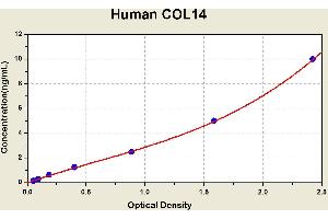 Diagramm of the ELISA kit to detect Human COL14with the optical density on the x-axis and the concentration on the y-axis. (COL14A1 Kit ELISA)