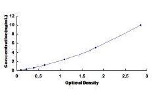 ELISA image for Dipeptidase 2 (DPEP2) ELISA Kit (ABIN421003)