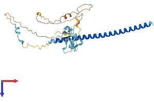 AlphaFold protein structure predicition of Human Recombinant THAP7 Protein, UniprotID Q9BT49