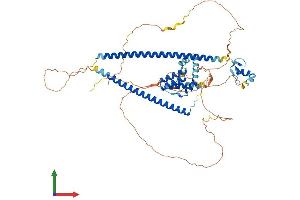 AlphaFold protein structure predicition of Mouse Recombinant Runx1t1 Protein, UniprotID Q61909