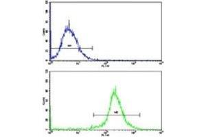 Flow cytometric analysis of HepG2 cells using Nestin antibody (bottom histogram) compared to a negative control cell (top histogram).