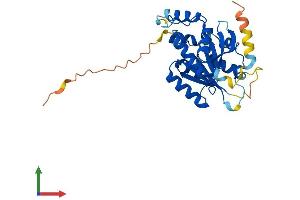 AlphaFold protein structure predicition of Human Recombinant BCDIN3D Protein, UniprotID Q7Z5W3