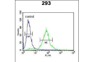 Flow cytometric analysis of 293 cells (right histogram) compared to a negative control cell (left histogram). (SETD8 anticorps  (AA 220-249))