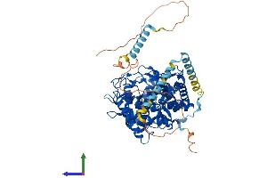 AlphaFold protein structure predicition of Human Recombinant MAN1A1 Protein, UniprotID P33908