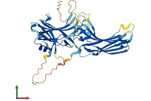 AlphaFold protein structure predicition of Mouse Recombinant Arrb1 Protein, UniprotID Q8BWG8