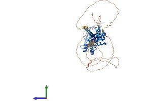 AlphaFold protein structure predicition of Mouse Recombinant Fmr1 Protein, UniprotID P35922