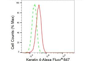 Flow cytometric analysis of Keratin 4 expression in H9c2 cells using Keratin 4 antibody (ABIN7799178), 1:2,000).