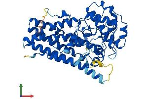AlphaFold protein structure predicition of Mouse Recombinant Ido2 Protein, UniprotID Q8R0V5