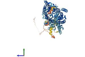 AlphaFold protein structure predicition of Human Recombinant SLC5A9 Protein, UniprotID Q2M3M2