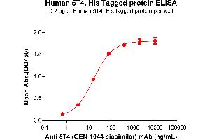 ELISA plate pre-coated by 2 μg/mL (100 μL/well) Human 5T4 Protein, His Tag (ABIN6964086, ABIN7042427 and ABIN7042428) can bind Anti-5T4 (GEN-1044 biosimilar) mAb in a linear range of 0.