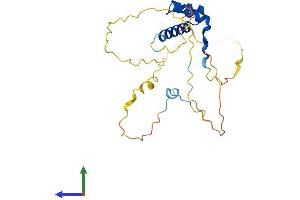 AlphaFold protein structure predicition of Human Recombinant NKX2-8 Protein, UniprotID O15522