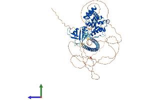 AlphaFold protein structure predicition of Human Recombinant ARHGAP24 Protein, UniprotID Q8N264
