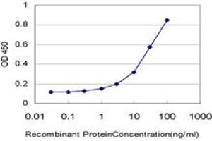 Detection limit for recombinant GST tagged LASS4 is approximately 0. (LASS4 anticorps  (AA 57-139))