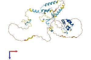 AlphaFold protein structure predicition of Human Recombinant DMTN Protein, UniprotID Q08495