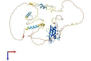 AlphaFold protein structure predicition of Mouse Recombinant Shb Protein, UniprotID Q6PD21