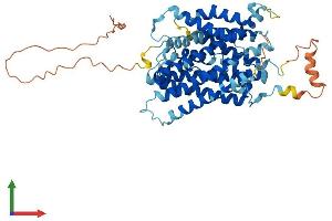 AlphaFold protein structure predicition of Mouse Recombinant Slc38a3 Protein, UniprotID Q9DCP2