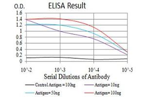 Black line: Control Antigen (100 ng),Purple line: Antigen (10 ng), Blue line: Antigen (50 ng), Red line:Antigen (100 ng)