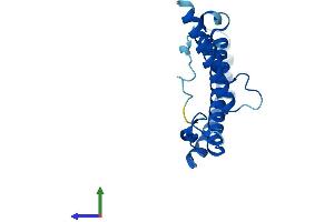AlphaFold protein structure predicition of Human Recombinant NDUFB10 Protein, UniprotID O96000