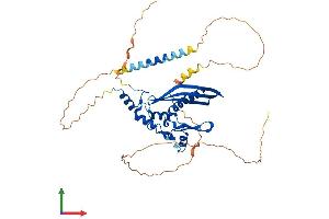 AlphaFold protein structure predicition of Human Recombinant RAD52 Protein, UniprotID P43351