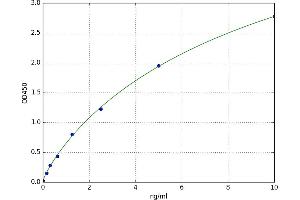 Calcitonin Receptor-Like (CALCRL) ELISA Kit
