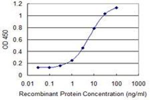 Detection limit for recombinant GST tagged COMMD3 is 0. (COMMD3 anticorps  (AA 1-195))