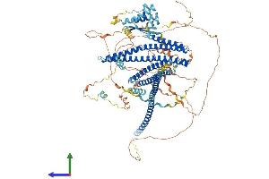 AlphaFold protein structure predicition of Mouse Recombinant Jmy Protein, UniprotID Q9QXM1