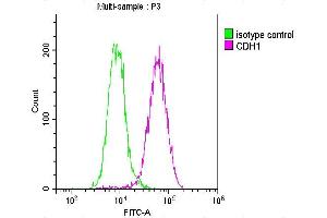 Overlay histogram showing MCF-7 cells stained with ABIN7146194 (red line) at 1:100.
