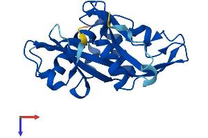 AlphaFold protein structure predicition of Mouse Recombinant Nudt16 Protein, UniprotID Q6P3D0