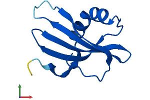 AlphaFold protein structure predicition of Mouse Recombinant Csta Protein, UniprotID P56567
