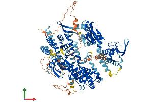 AlphaFold protein structure predicition of Human Recombinant RAPGEF3 Protein, UniprotID O95398