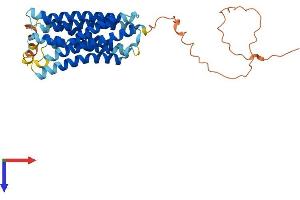 AlphaFold protein structure predicition of Mouse Recombinant Gprc5d Protein, UniprotID Q9JIL6