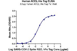 Immobilized Human ACE2, His Tag at 5 μg/mL (100 μL/well) on the plate.