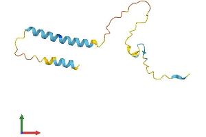 AlphaFold protein structure predicition of Mouse Recombinant Pdzk1ip1 Protein, UniprotID Q9CQH0