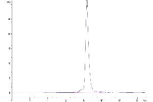 The purity of Mouse B7-H2 is greater than 95 % as determined by SEC-HPLC.