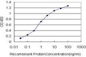 Detection limit for recombinant GST tagged GLUL is approximately 0.