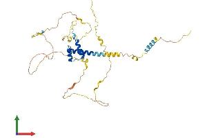 AlphaFold protein structure predicition of Mouse Recombinant Nkx6-1 Protein, UniprotID Q99MA9