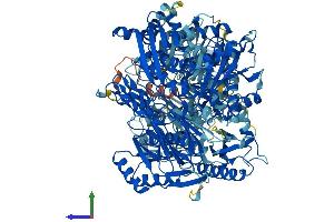 AlphaFold protein structure predicition of Mouse Recombinant Oplah Protein, UniprotID Q8K010