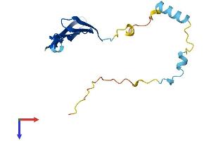 AlphaFold protein structure predicition of Human Recombinant TCAP Protein, UniprotID O15273