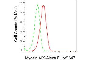 Flow cytometric analysis of Myosin XIX expression in HepG2 cells using Myosin XIX antibody (ABIN7799525), 1:2,000). (Recombinant Myosin XIX anticorps)