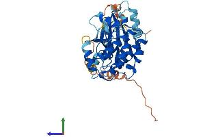 AlphaFold protein structure predicition of Mouse Recombinant Pnck Protein, UniprotID Q9QYK9