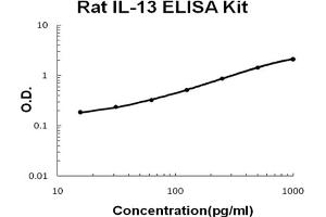 Rat IL-13 Accusignal ELISA Kit Rat IL-13 AccuSignal ELISA Kit standard curve.