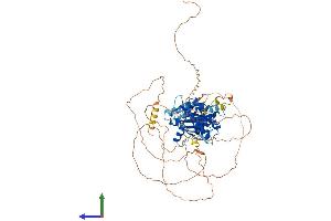 AlphaFold protein structure predicition of Mouse Recombinant Nuak2 Protein, UniprotID Q8BZN4