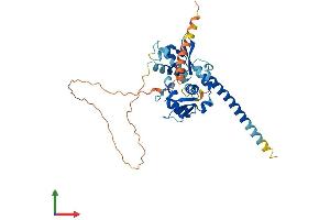 AlphaFold protein structure predicition of Human Recombinant MAGEB10 Protein, UniprotID Q96LZ2