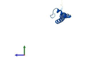 AlphaFold protein structure predicition of Mouse Recombinant Cox6c Protein, UniprotID Q9CPQ1
