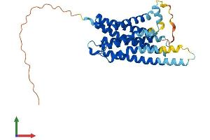 AlphaFold protein structure predicition of Mouse Recombinant Gpr3 Protein, UniprotID P35413