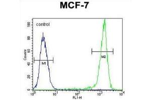 Flow Cytometry (FACS) image for anti-Sphingomyelin Synthase 2 (SGMS2) antibody (ABIN3004329)