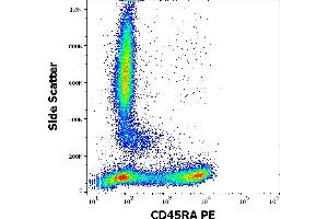 Flow cytometry surface staining pattern of human peripheral whole blood stained using anti-human CD45RA (MEM-56) PE antibody (20 μL reagent / 100 μL of peripheral whole blood). (CD45RA anticorps  (PE))